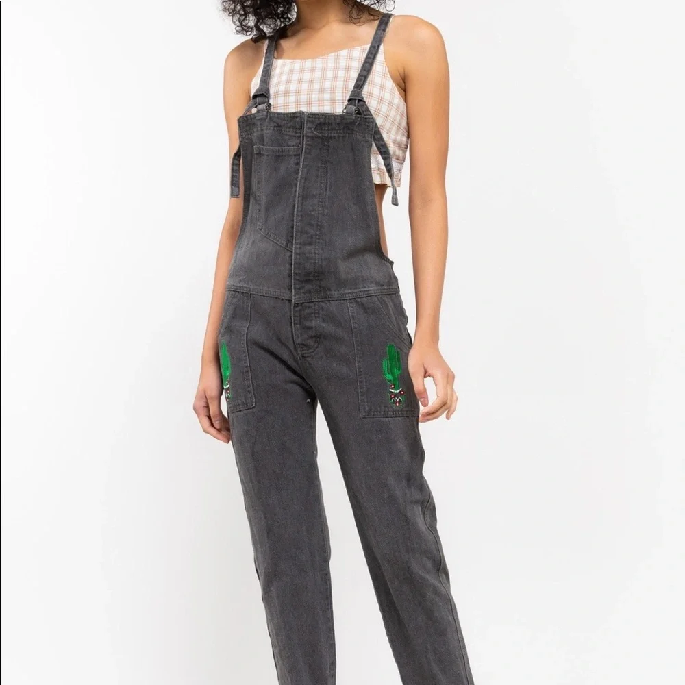 Gray cactus 🌵 overalls with front pocket panels; hidden buttons are intact. - Picture 2 of 16